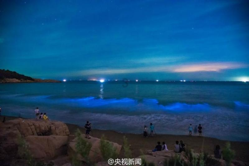 剧集周榜丨《繁花》蝉联榜首，新剧势头强劲