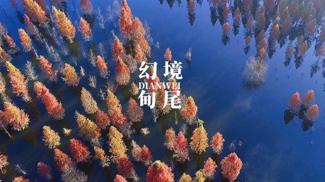 梦幻西游无双