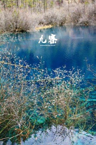 go on a honeymoon after marriage 能用go to吗？