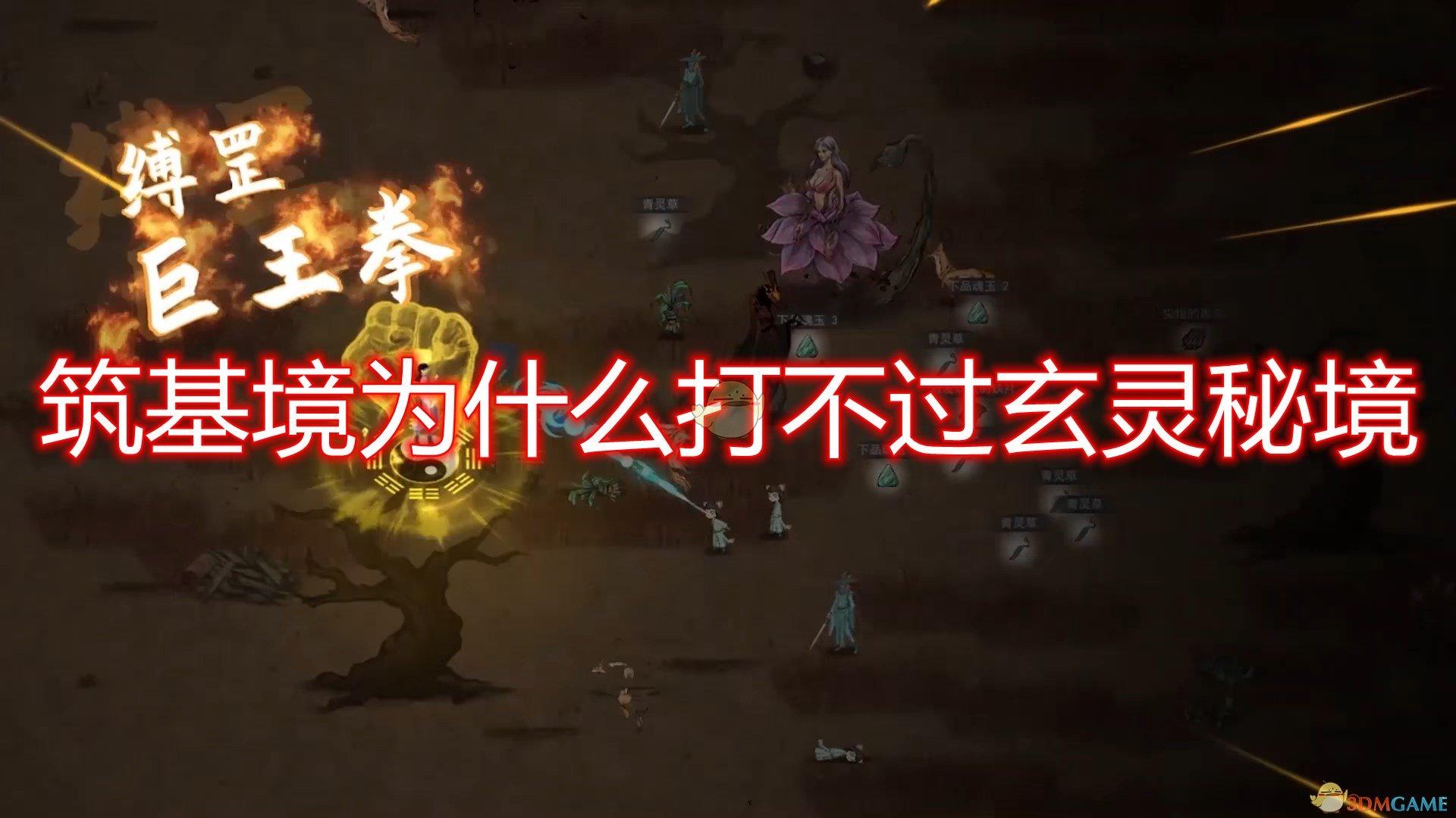 可爱小猫向上跳