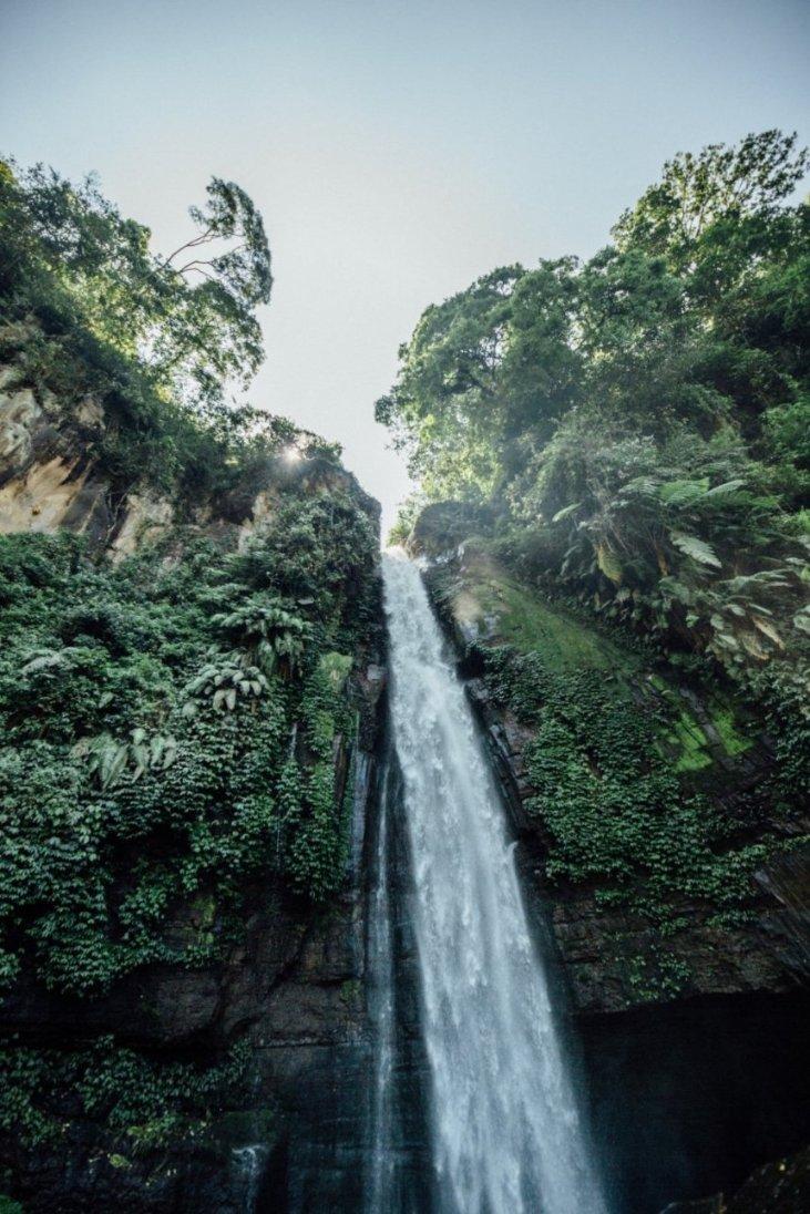 精灵的冒险之旅